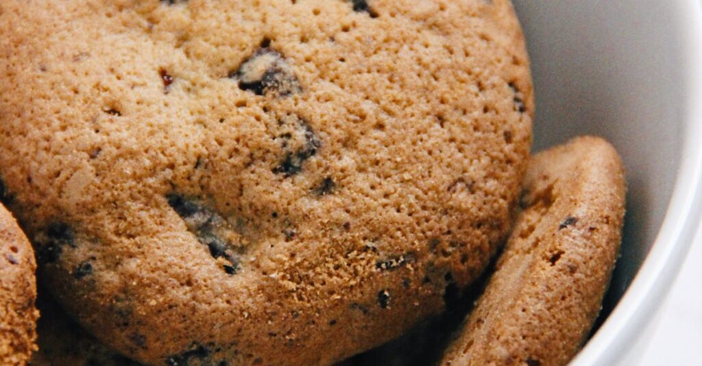 A close-up of freshly baked chocolate chip cookies in a white bowl, perfect for food blogs.